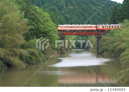 いすみ鉄道キハ58+52運行 12489065