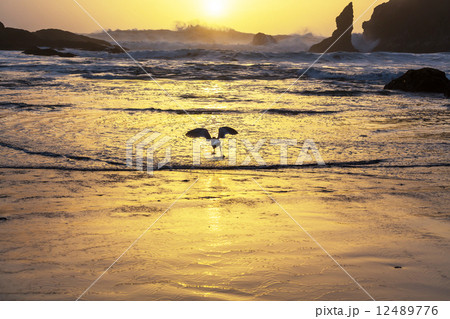 Olympic Olympic 12489776
