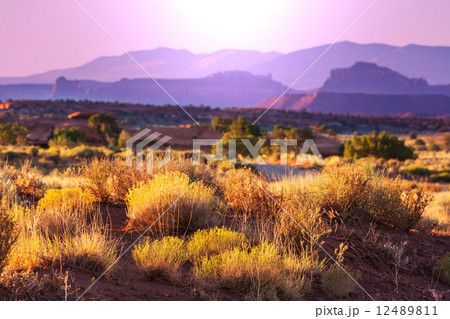American prairie American prairie 12489811