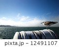 船にとまる鳥 12491107