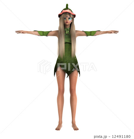 妖精 12491180