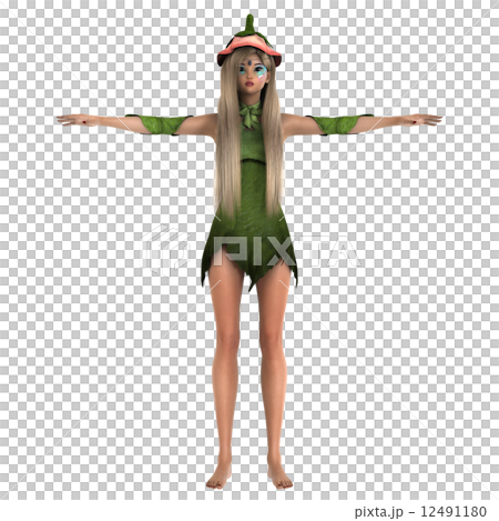 妖精 12491180