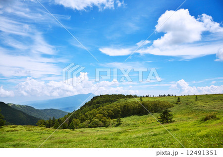 夏の美ヶ原高原 12491351