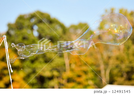 blowing bubble balloons on a field blowing bubble balloons on a field 12491545