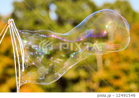 blowing bubble balloons on a field blowing bubble balloons on a field 12491546
