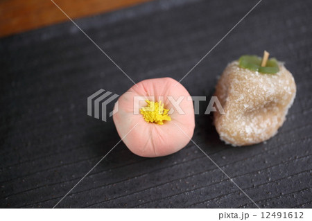 和菓子(練りきり) 和菓子(練りきり) 12491612