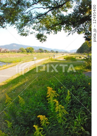 賀茂川(鴨川)の土手（京都市北区） 12495400