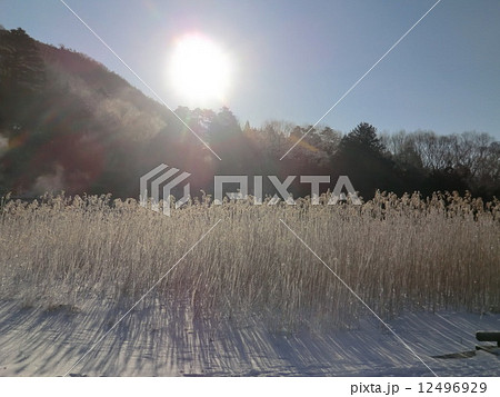 奥日光湯元温泉の湯の湖周辺、冬の雪景色。 12496929