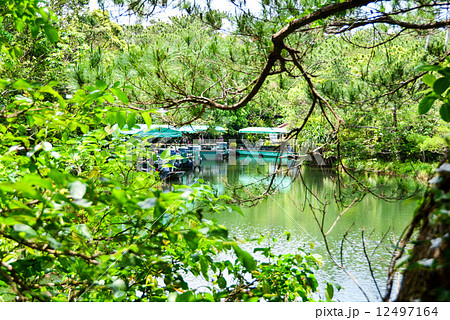 ビオスの丘 12497164