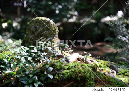 わらべ地蔵 わらべ地蔵 12498162