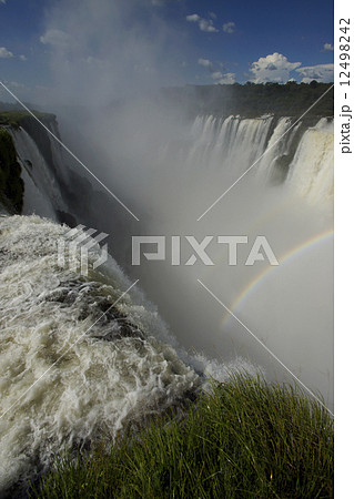 イグアスの滝 12498242