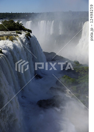 イグアスの滝 12498259