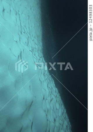 氷山 氷山 12498303