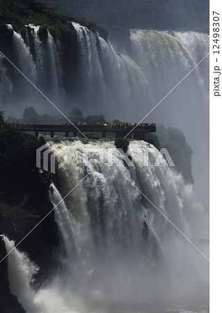 イグアスの滝 イグアスの滝 12498307