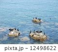 オホーツク海 12498622