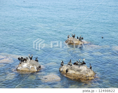 オホーツク海 オホーツク海 12498622