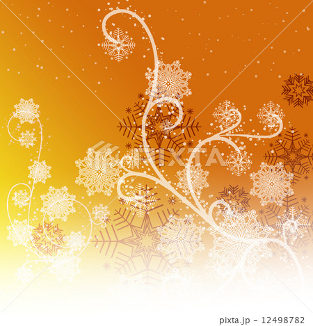 雪の結晶 12498782