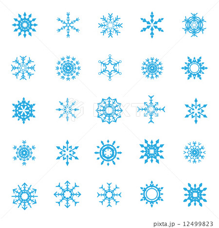 008-Christmas Snow Flakes 004 12499823