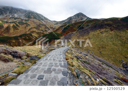 Tateyama - Murodo 12500529