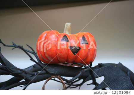 ハロウィン 12501097
