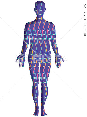 人体シルエットの中の二重螺旋構造パターン 12501175