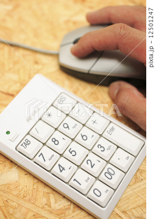 マウスとテンキー 12501247