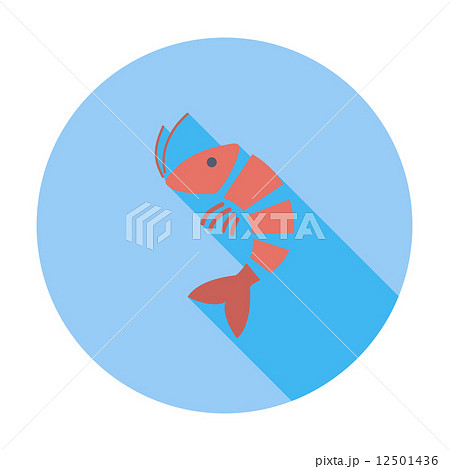 Shrimp Shrimp 12501436