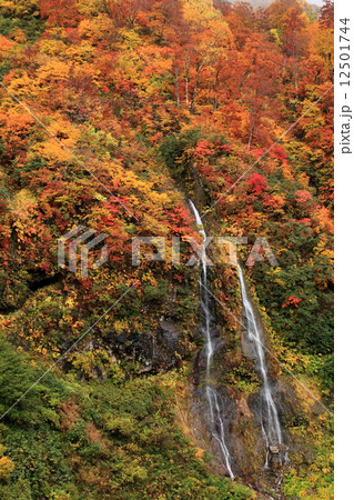 紅葉の大田切渓谷　そうめん滝 12501744
