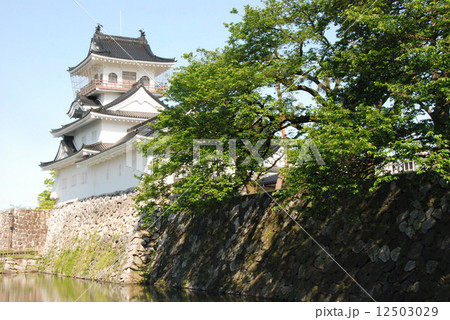 富山城の天守閣（富山城址公園／富山県富山市丸の内） 12503029