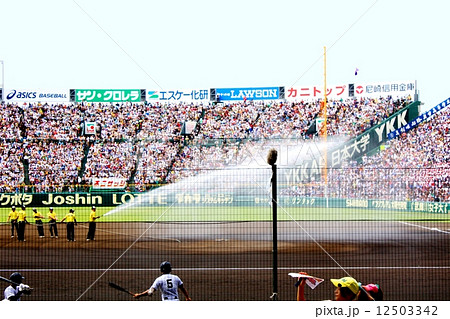 甲子園球場（グラウンド整備） 12503342