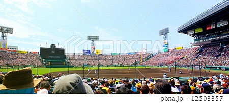 甲子園球場 12503357