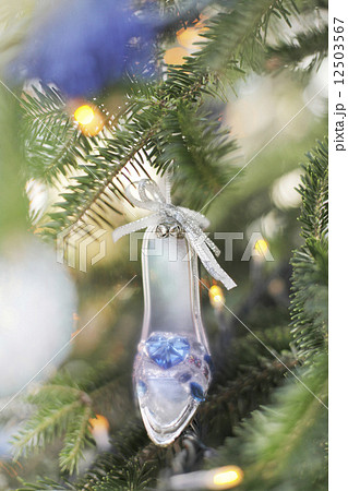 ガラスの靴 ガラスの靴 12503567