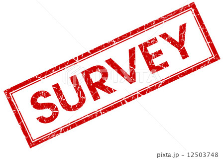 Survey red square grungy stamp isolated on white background 12503748