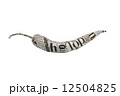 newspaper pepper on white background 12504825