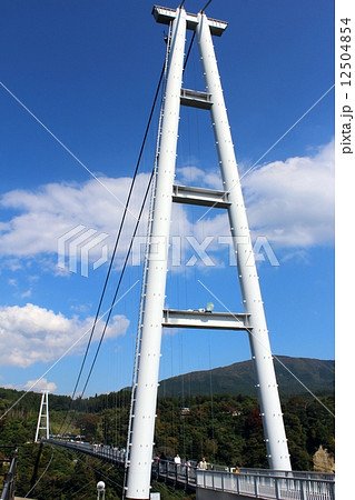 九重夢大吊橋 九重夢大吊橋 12504854