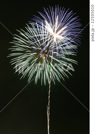 花火 花火 12505010
