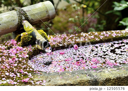 花の手水鉢 花の手水鉢 12505576