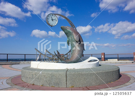 ノシャップ岬 ノシャップ岬 12505637