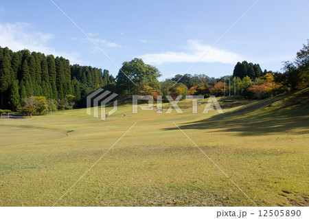 石川県森林公園 12505890