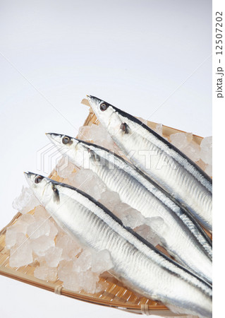 さんま さんま 12507202