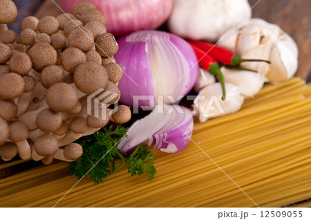Italian pasta and mushroom sauce ingredients Italian pasta and mushroom sauce ingredients 12509055