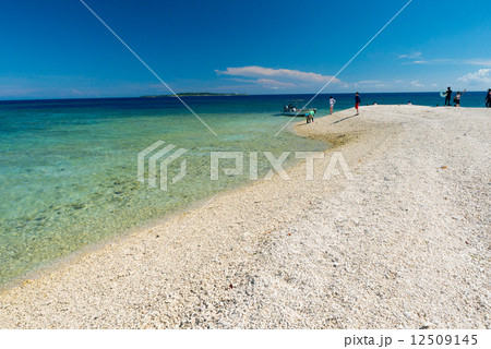 バラス島 12509145