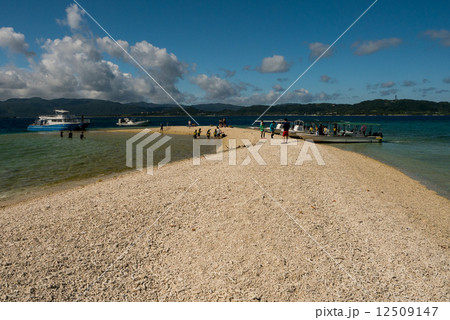 バラス島 12509147