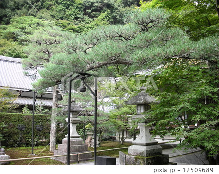 最勝院    高徳庵 12509689