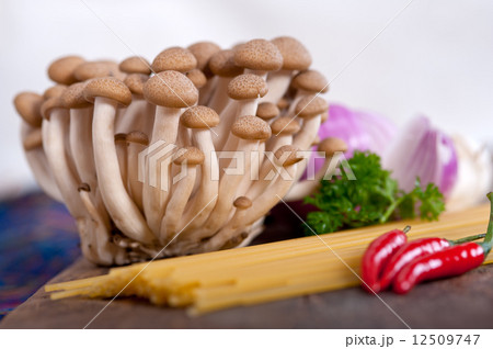 Italian pasta and mushroom sauce ingredients 12509747