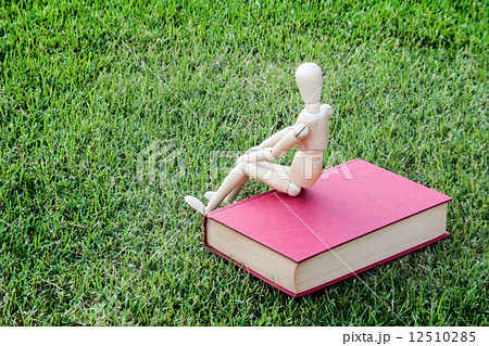 wood model close vintage book in green park wood model close vintage book in green park 12510285
