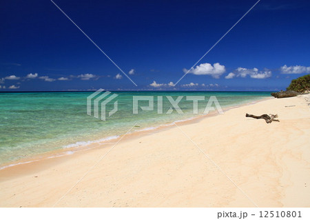 屋良浜 屋良浜 12510801