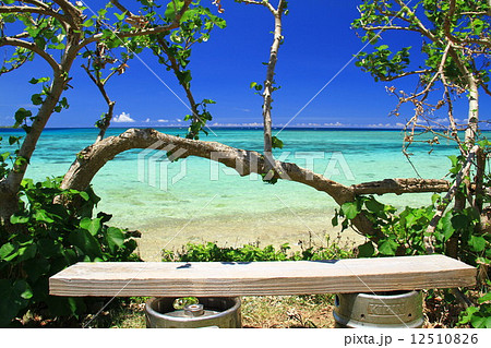 鳩間島の海 12510826