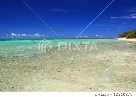 屋良浜 屋良浜 12510876