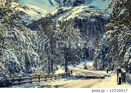 Winter road Winter road 12510917